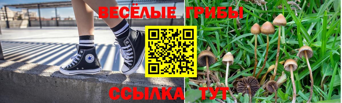 Псилоцибиновые грибы MAGIC MUSHROOMS Шебекино