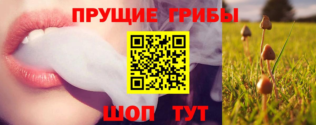 Псилоцибиновые грибы MAGIC MUSHROOMS  что такое наркотик  Шебекино  Вход с VPN  Псилоцибиновые грибы Cubensis 